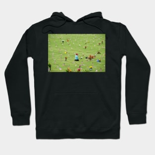 A Day of Remembrance Hoodie